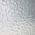 021905_closeup_03.jpg