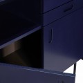 021928_closeup_02.jpg