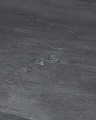 900000980_02.png
