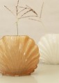 2431640-c-MADAM STOLTZ WAZON SEASHELL