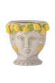 82061443-BLOOMINGVILLE DONICZKA LIMONE