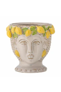 BLOOMINGVILLE DONICZKA  LIMONE