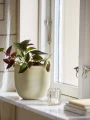 82058103-BLOOMINGVILLE DONICZKA JANTI KOLOR NATURALNY