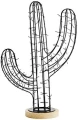 21776BL