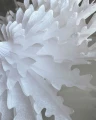 266602301_11.jpg