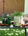 1290_h_a.webp