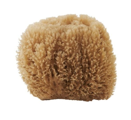 GĄBKA NATURALNA BAHAMAS MERAKI HOUSE DOCTOR_mkcp09